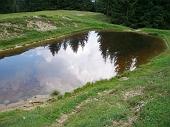 20 Riflessi nello stagno